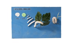 Image description is not available for 2011.38.1